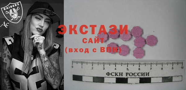 индика Каменногорск