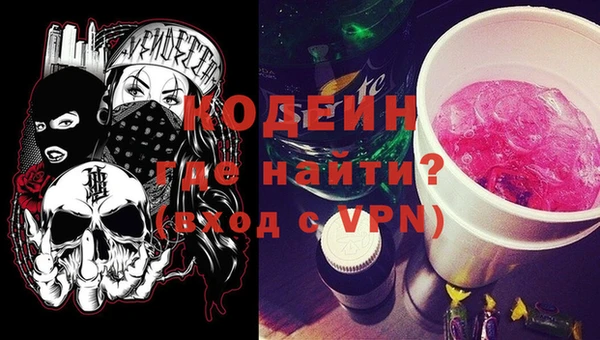индика Каменногорск