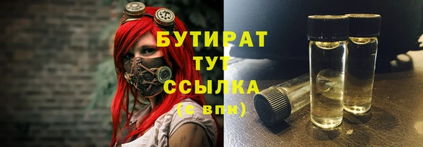 индика Каменногорск