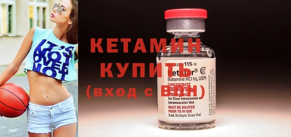 индика Каменногорск
