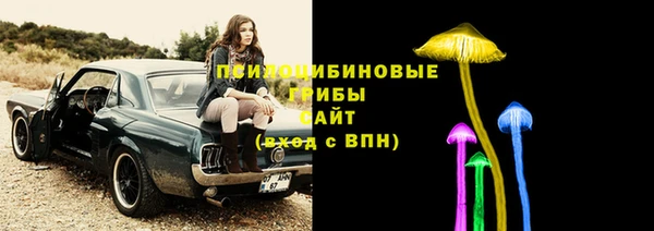 марки lsd Каменка