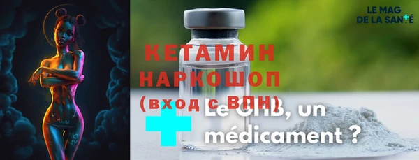 индика Каменногорск