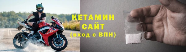 индика Каменногорск