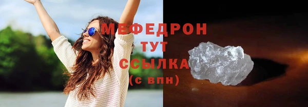 индика Каменногорск