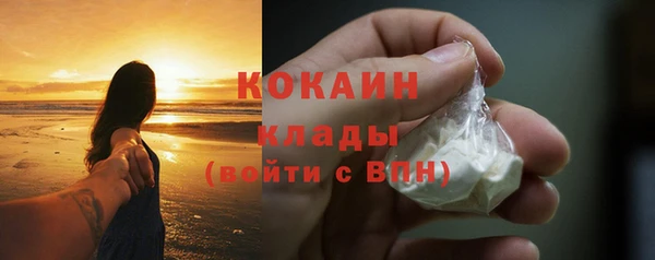 индика Каменногорск