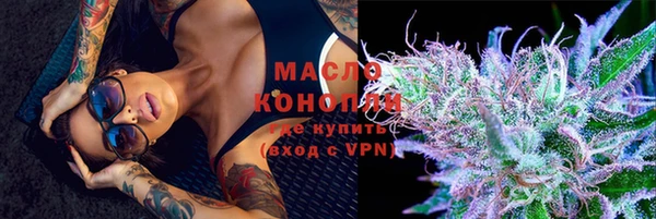 индика Каменногорск