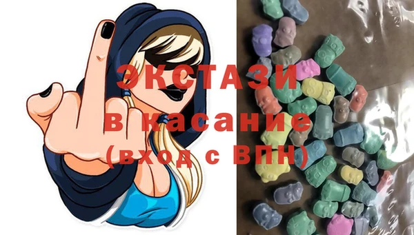 индика Каменногорск