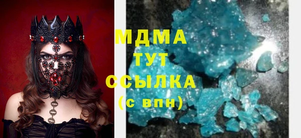 индика Каменногорск